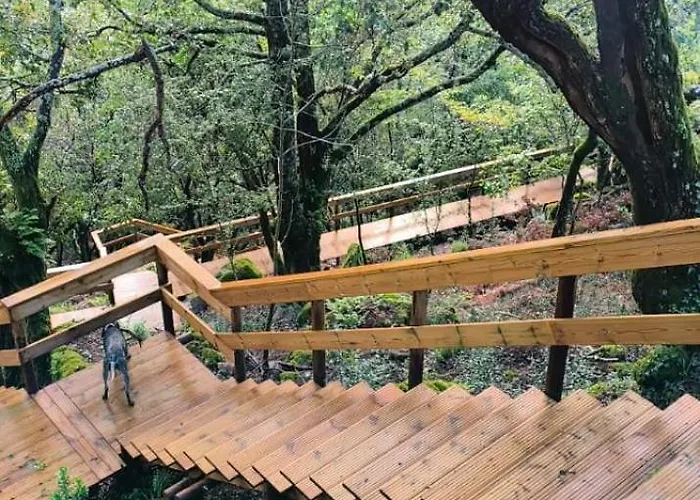 Casa Carballo Otel *